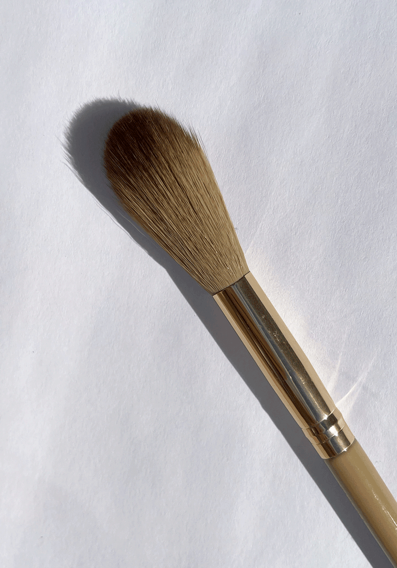 Whimsical Nudes Brush Bundle